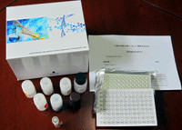 LTC4說明書 人白三烯C4ELISA試劑盒廠家——上海勁馬實驗設備配件產品介紹